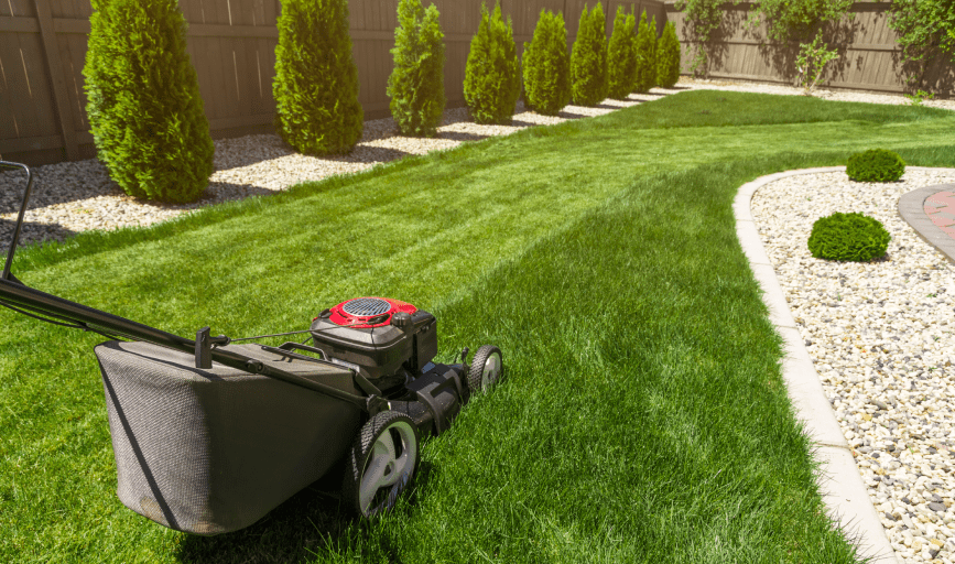 LAWN MOWING